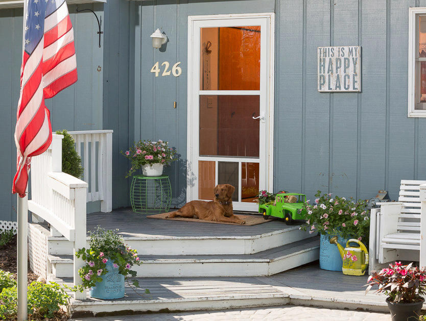 Full View Storm door with dog door
